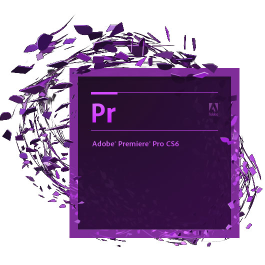  Premier Pro  -  5