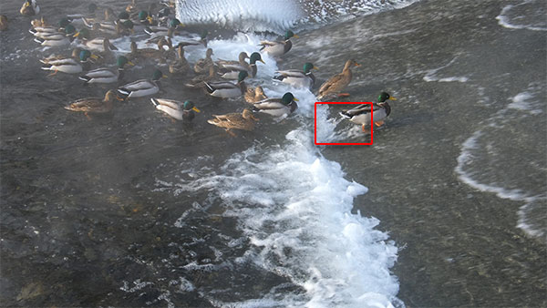 Видеосъемка фотоаппаратом Fujifilm X-T2