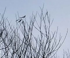 Видеосъемка фотоаппаратом. Fujifilm X-T2