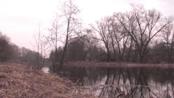 Посмотреть в полном размере