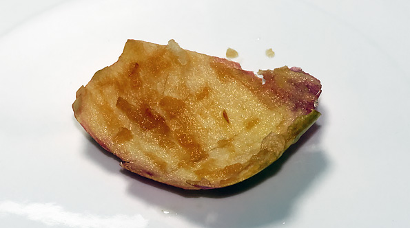 Терка-мультирезка Caso CR3X Acid Etched