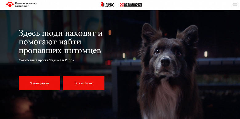 «Яндекс» запустила «Поиск» для потерявшихся домашних животных