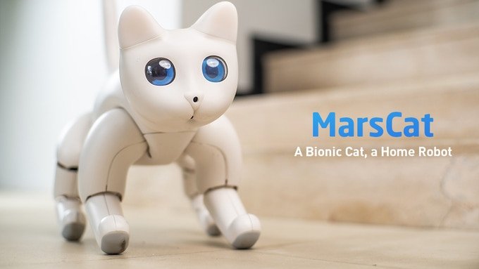 На выпуск робота-кота MarsCat собрано почти в десять раз больше средств, чем было намечено