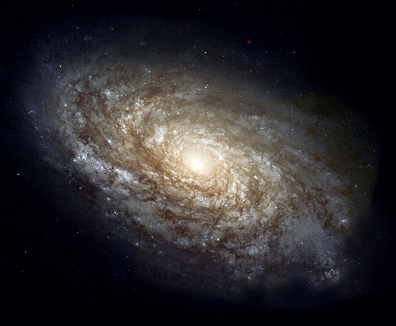 Фото галактики, сделанное на Samsung Galaxy S20 Ultra, оказалось фейком
