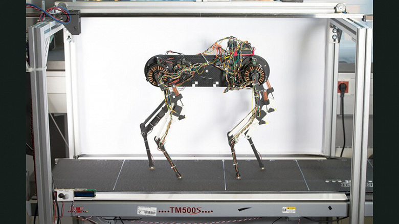 В Германии создали четвероногого робота по имени Морти, который научился самостоятельно ходить за час