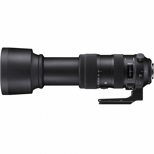 Sigma 60-600mm F4.5-6.3 DG OS HSM Sports — первый объектив с 10-кратным зумом и максимальным фокусным расстоянием 600 мм