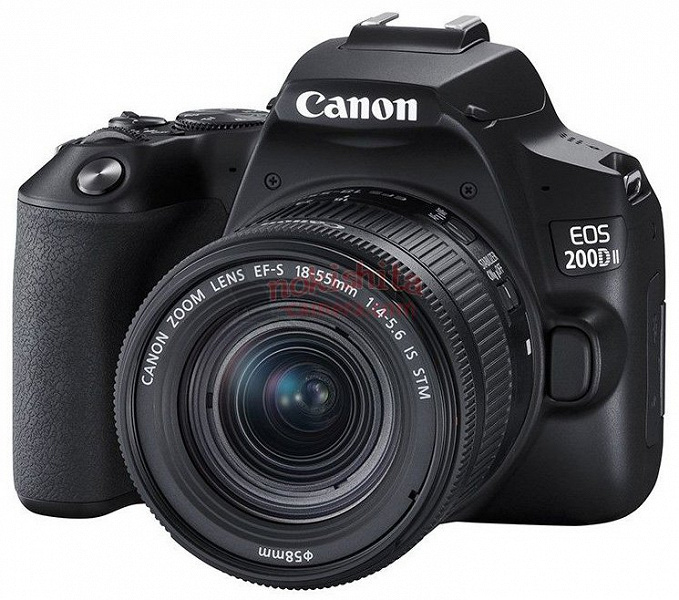 Раскрыты характеристики и изображения бюджетной зеркальной камеры Canon EOS 250D, поддерживающей запись видео 4К