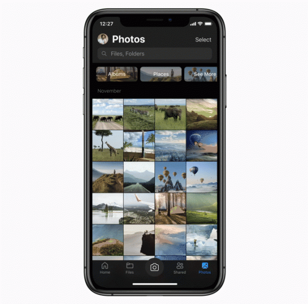 Microsoft осчастливила владельцев iPhone. OneDrive теперь поддерживает Live Photos