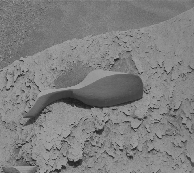 Curiosity прислал странное фото с Марса