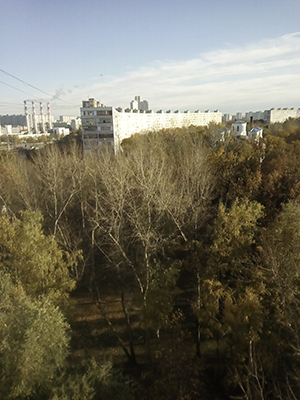 Смартфон Doogee T6 Pro