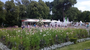 примеры снимков Huawei Ascend P1