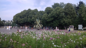 примеры снимков Huawei Ascend P1