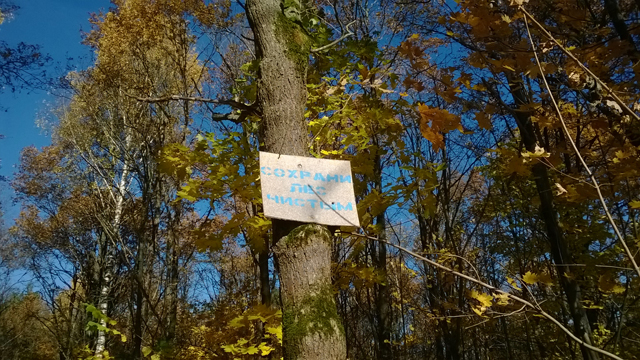 Обзор Nokia Lumia 625. Демонстрационный снимок