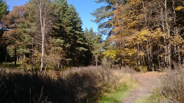 Обзор Nokia Lumia 625. Демонстрационный снимок