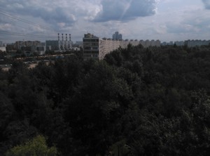 Тестовый снимок тыльной камеры ZTE nubia z5