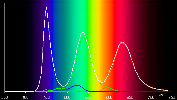 spectrum-user.jpg