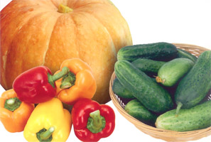 Canon Pixma G3400, печать