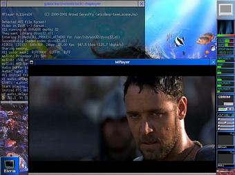 Linux:: MPlayer 0.90-rc4