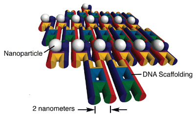 Наноэлектроника… на ДНК!