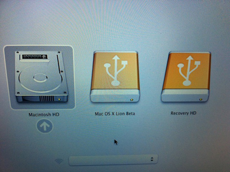 Lion recovery partition