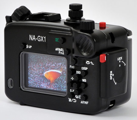 Бокс Nauticam NA-GX1 открывает перед владельцами камеры Panasonic Lumix DMC-GX1 возможности подводной съемки
