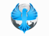 Superbird Logo