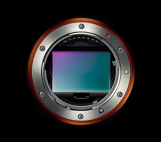 Анонс полнокадровой камеры Sony NEX назначен на октябрь, а в продаже она может появиться до конца года 