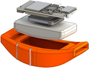 Ошейник WÜF предложен в трех вариантах размера и двух вариантах цвета
