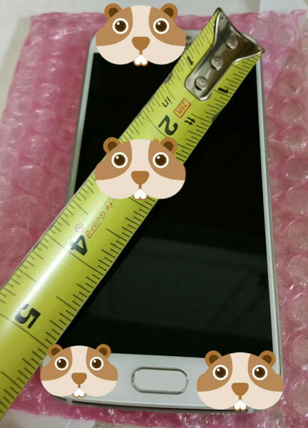 смартфон Samsung Galaxy S6