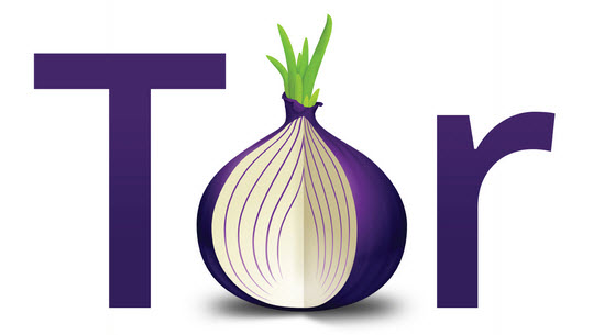 Создатели Tor начали сбор средств на развитие проекта