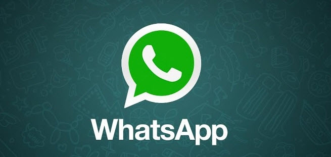 WhatsApp получил 30 млн пользователей в России и поддержку «Билайн»