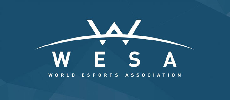 Ассоциация WESA призвана придать киберспорту более профессиональный характер