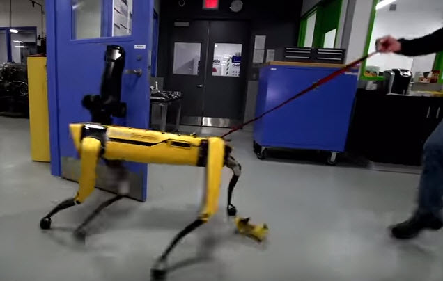 Видео дня: человек не может помешать новому «побегу» робота Boston Dynamics из лаборатории