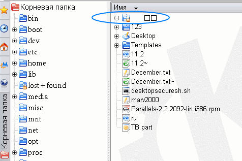 Папка, созданная в Windows, в Linux видна, но недоступна