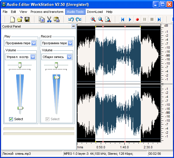 Рабочее окно Audio-Editor WorkStation