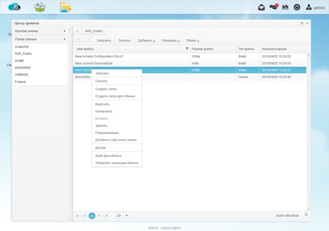 Интерфейс Thecus N2810