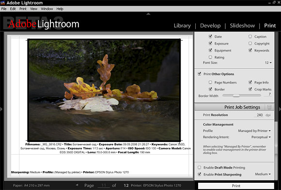 Adobe Lightroom public beta 3