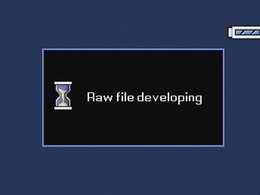 RAW file developer