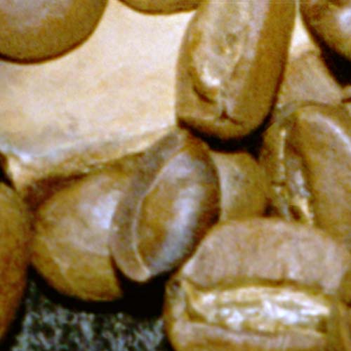 Фрагмент 1:1