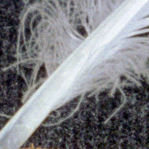 Фрагмент 1:1