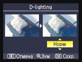 Nikon D40x, меню