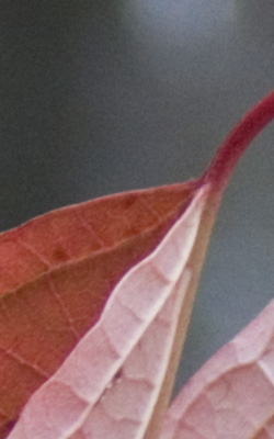 Panasonic Lumix DMC-FZ30