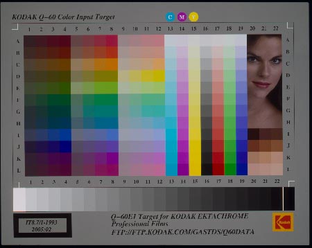 Изображение получено с использованием штатного профиля сканера при управлении цветом.