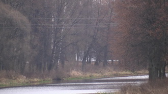 Видеокамера Canon Legria HF-G30