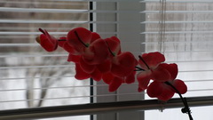 Видеосъемка фотоаппаратом. Canon EOS 5D Mark IV