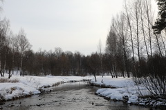 Видеосъемка фотоаппаратом. Canon EOS 5D Mark IV