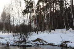 Видеосъемка фотоаппаратом. Canon EOS 5D Mark IV