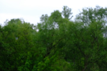 Видеосъемка фотоаппаратом. Fujifilm X-T20