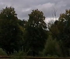 Экшн-камера GoPro Hero4 Session