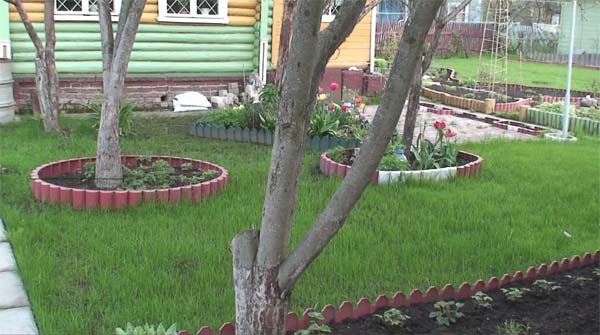 Посмотреть в полный размер, 245 КБ